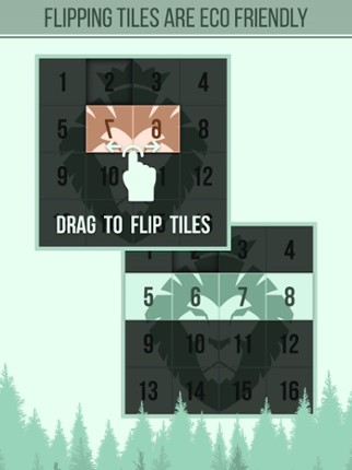 Flip Flop Forest Swipe Block Image