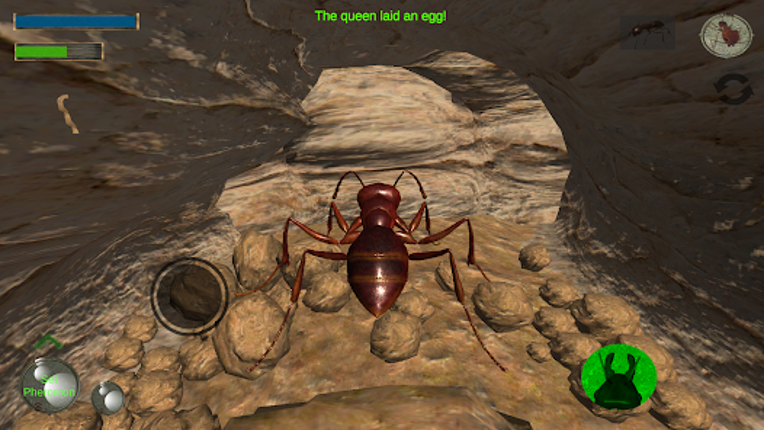 Ant Simulation 3D Image