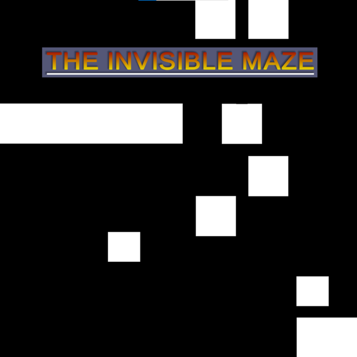 Games like The Invisible Maze