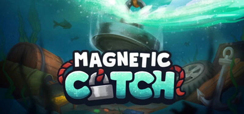 Magnetic Catch Image