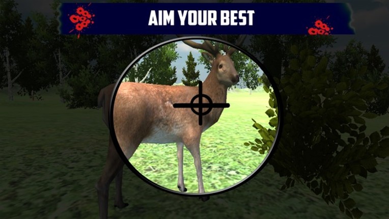 Deer Hunting Game : Best Deer Hunter in Jungle Sniper Game of 2016 screenshot
