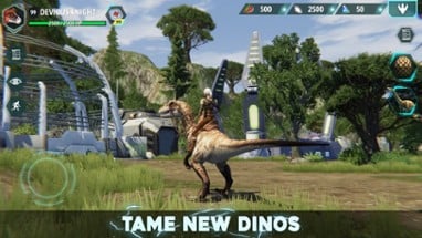 Dino Tamers Image