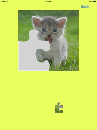 Kitten Jigsaw Puzzles screenshot