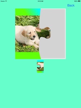 Puppies (Baby Dogs) Jigsaw Puzzles screenshot