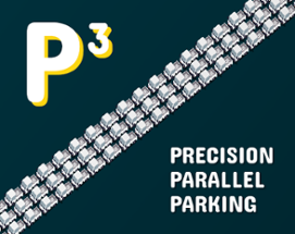 P³: Precision Parallel Parking Image