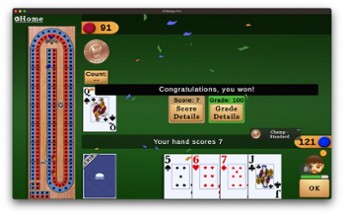 Cribbage Pro, Classic Cribbage Image