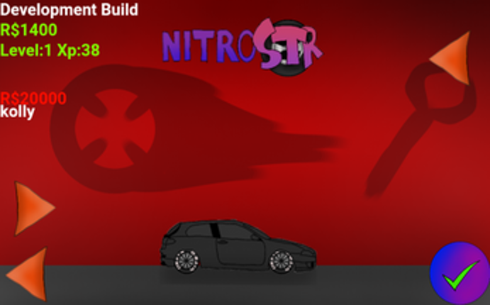NitroSTR Image