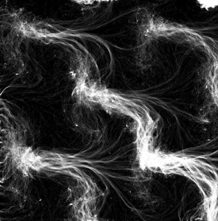 Generative Art Trails screenshot