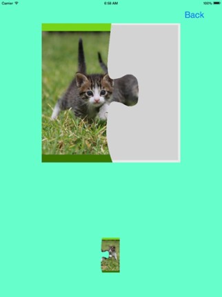 Kitten Jigsaw Puzzles screenshot