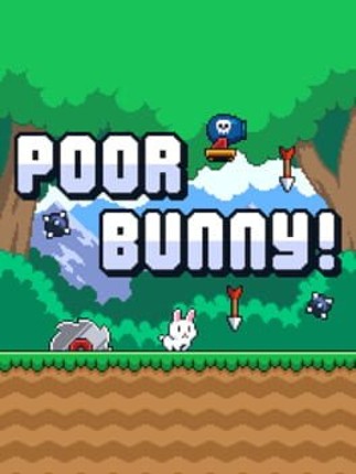 Poor Bunny Image