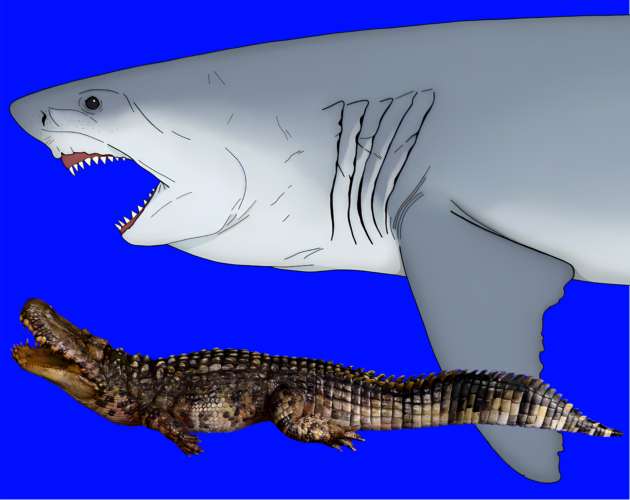 Games like Prehistory Explorer Part 20 - Neogene (Aquitanian to Serravallian)