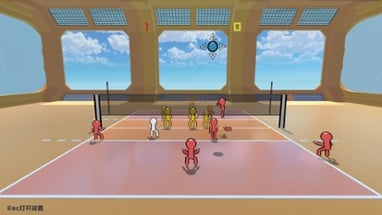 Volley Court Image