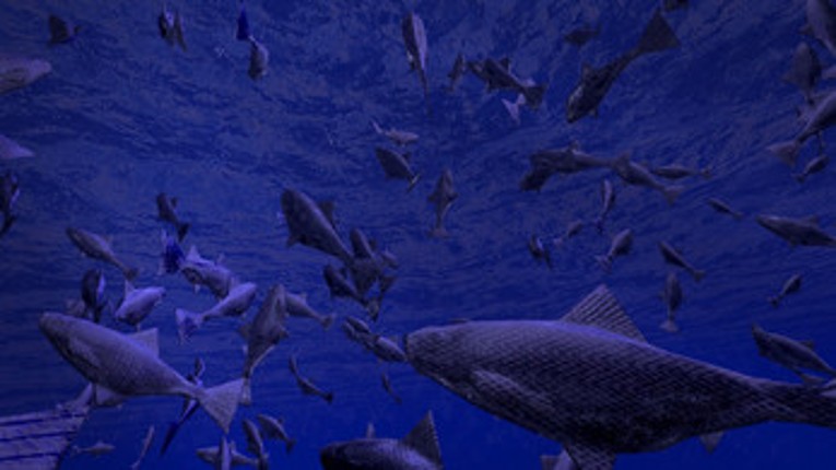 Be a Fish - VR Simulator screenshot