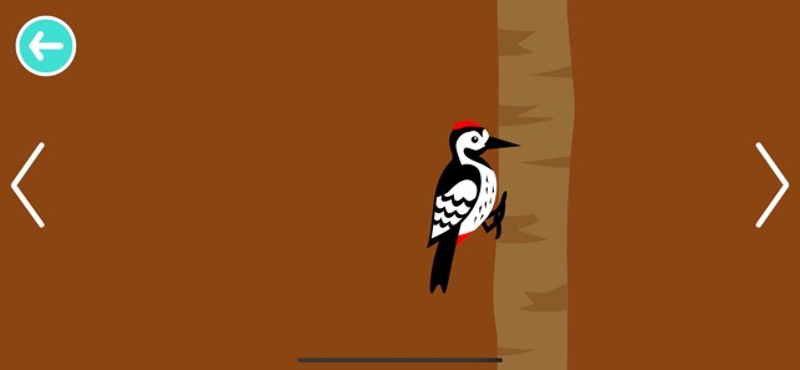 Black White Animals for Babies screenshot
