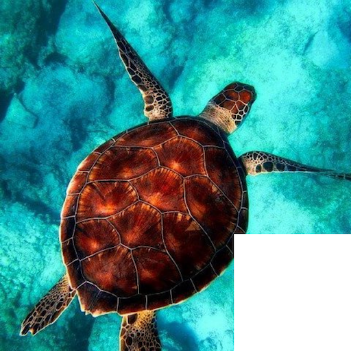 Games like Sliding Puzzle