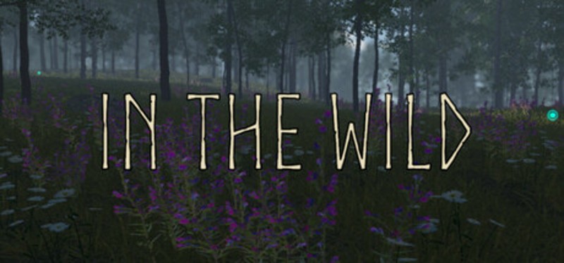 In the Wild Image