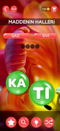 Kelime Şöleni: Kelime Oyunu screenshot