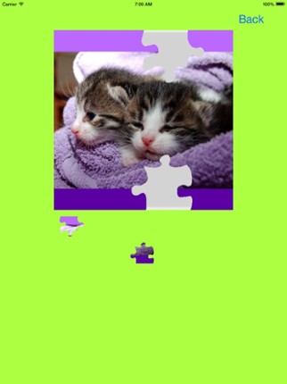 Kitten Jigsaw Puzzles screenshot