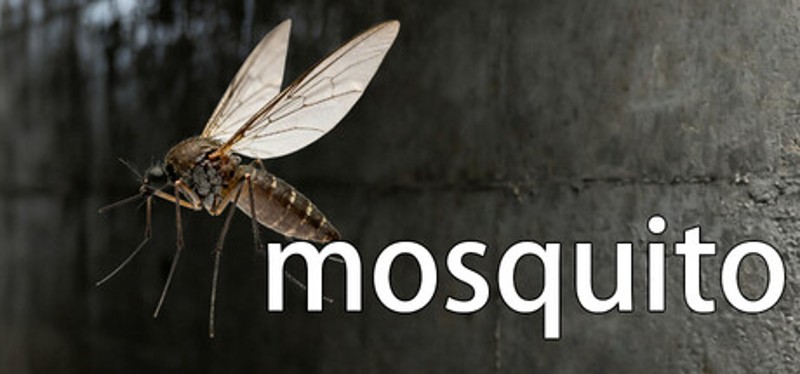 mosquito Image