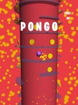 Pongo Image