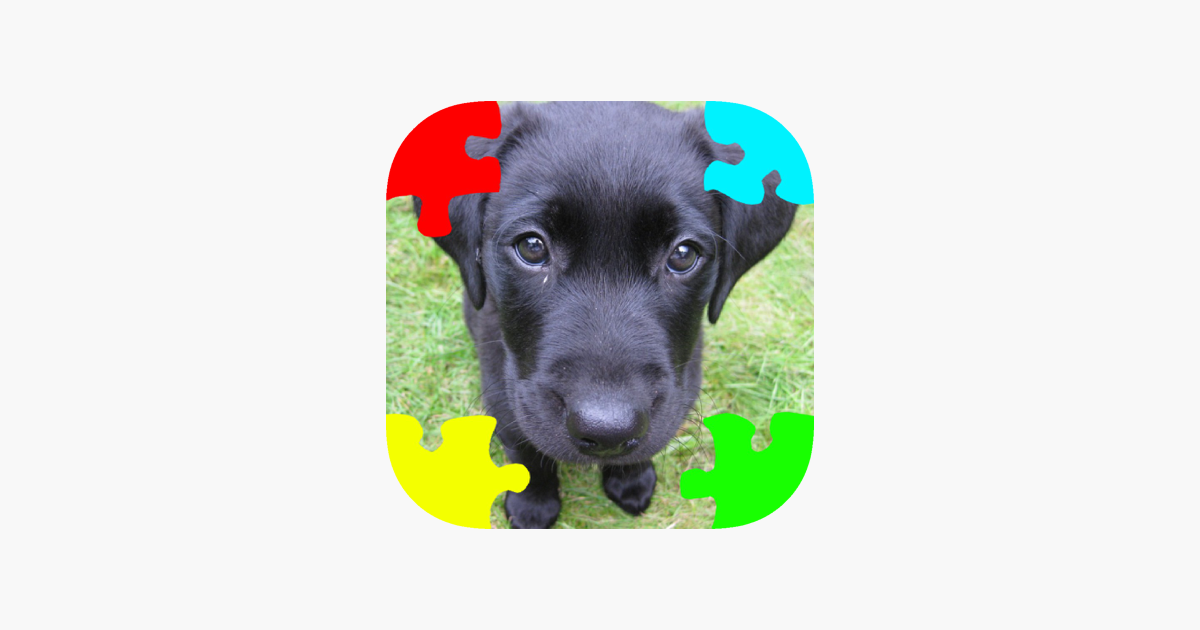 Games like Puppies (Baby Dogs) Jigsaw Puzzles