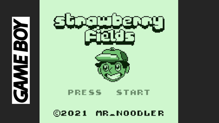 Strawberry Fields Image