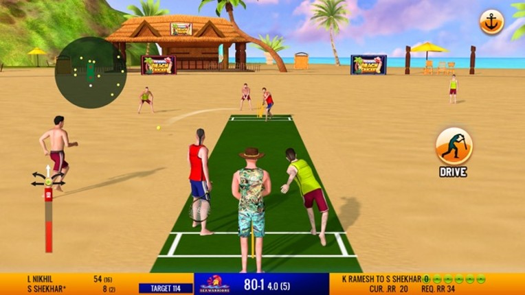 Friends Beach Cricket screenshot