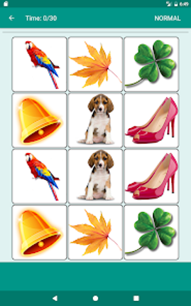 Brain game. Picture Match screenshot