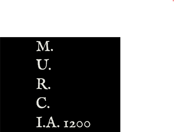M.U.R.C. I.A. 1200 Image