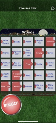 Scavenger Bingo screenshot