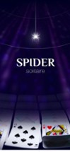 Spider Solitaire World Image