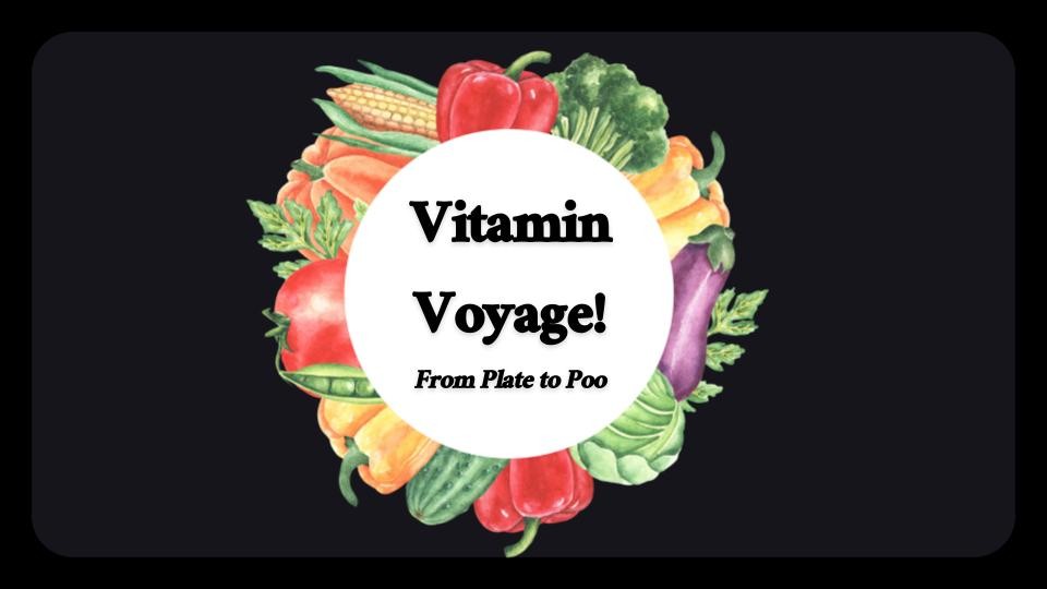 Games like Vitamin Voyage (2024 Team 19)