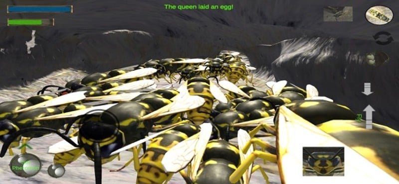 Wasp Nest Simulation Full screenshot