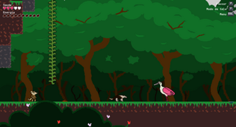 O Livro dos Bichos (The Animal Book) Image