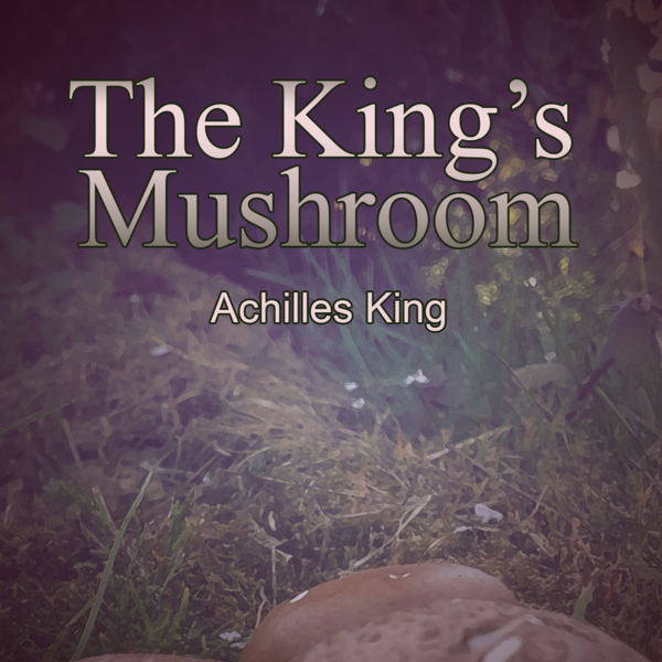 Games like The King's Mushroom