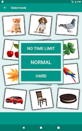 Brain game. Picture Match screenshot