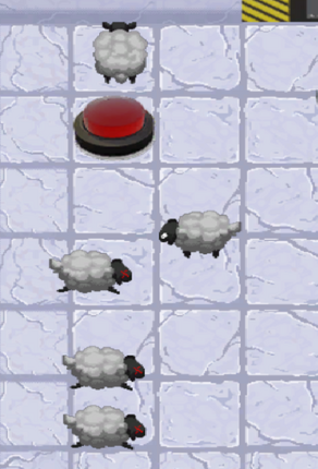 Double Ewe Image