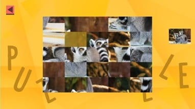 Game Of Puzzles: Animals Image