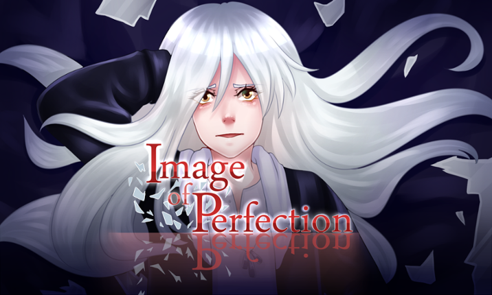 Image of Perfection Game Cover