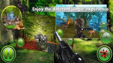 Jungle Animals Attack Image