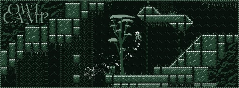 Owl Camp - (jam entry) Image