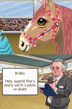 Petz Pony Beauty Pageant Image
