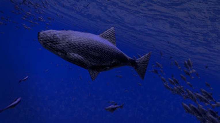 Be a Fish - VR Simulator Image
