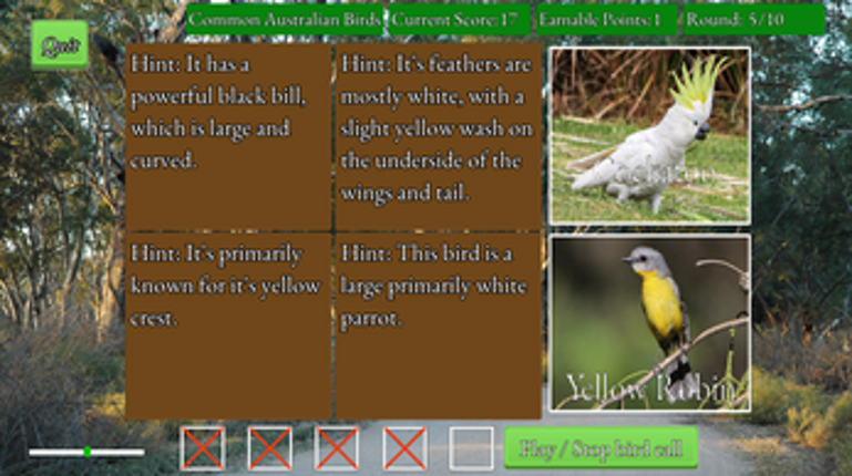 Bird Caller Image