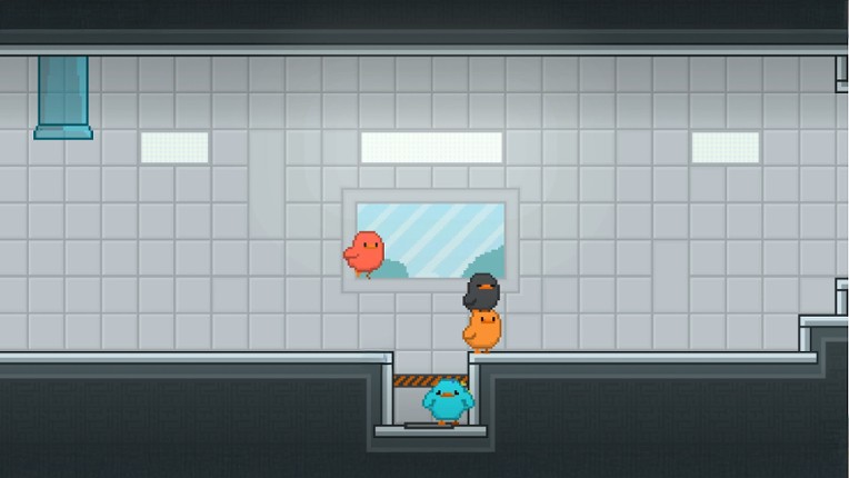 ChickOut! Image