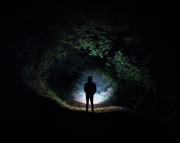 Games like Eyes of the Forest