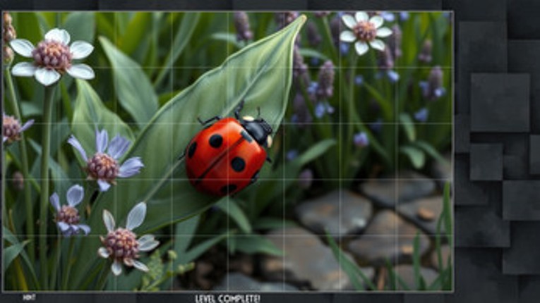 Little Dynasty screenshot