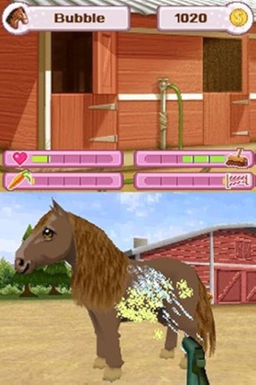 Petz Pony Beauty Pageant Image