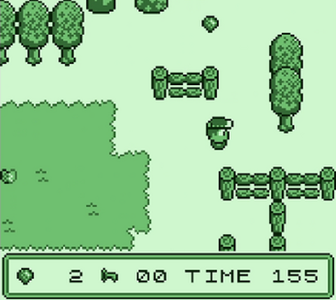 Strawberry Fields Image