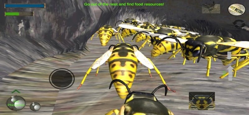 Wasp Nest Simulation Full screenshot